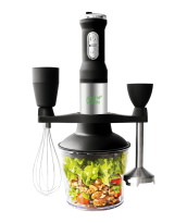 Prämie Just Vegan Stabmixer 6in1 zum Abo